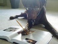 Cujo loves school!
